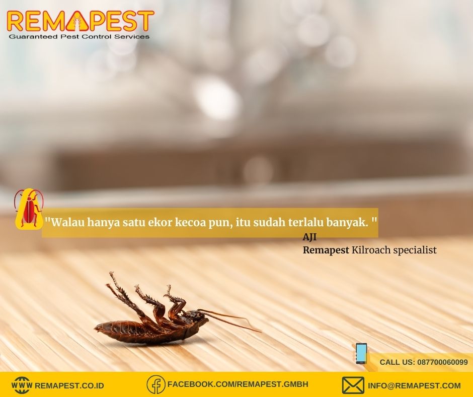 Menggunakan alat foam
