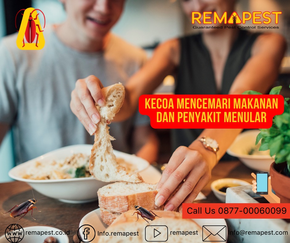 Kecoa adalah serangga kosmopolitan dan merupakan binatang malam yang sangat senang akan tempat-tempat lembab, kotor, dan banyak terdapat sisa makanan